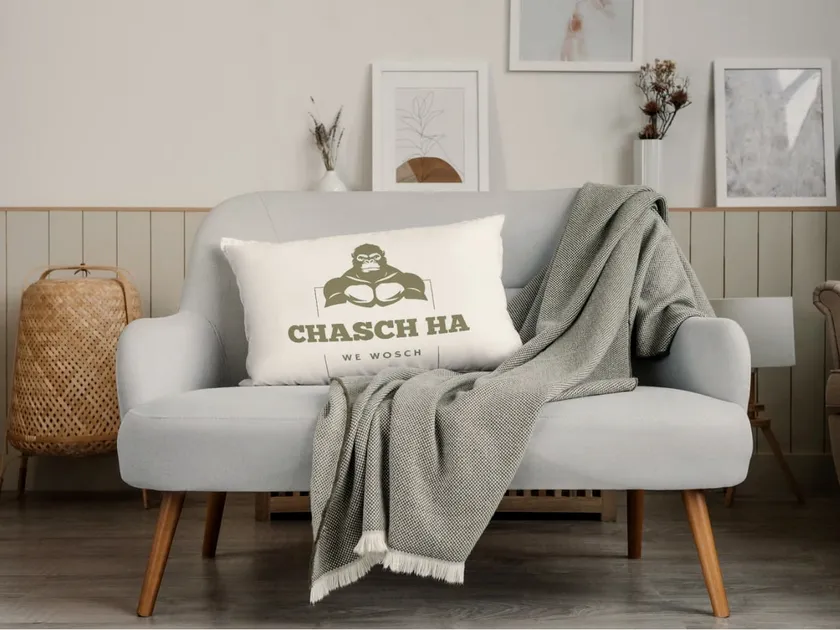 Kissen mit chasch ha Logo