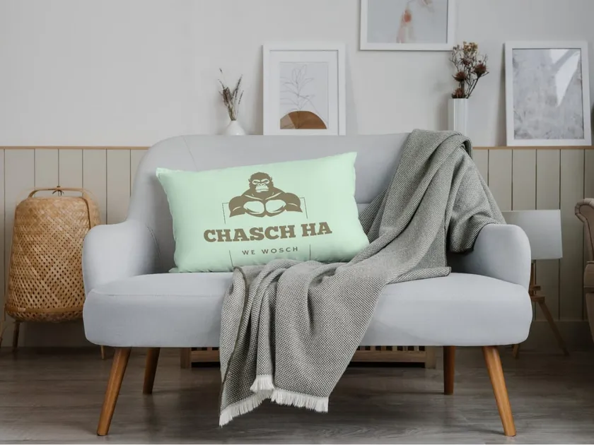 Kissen mit chasch ha Logo