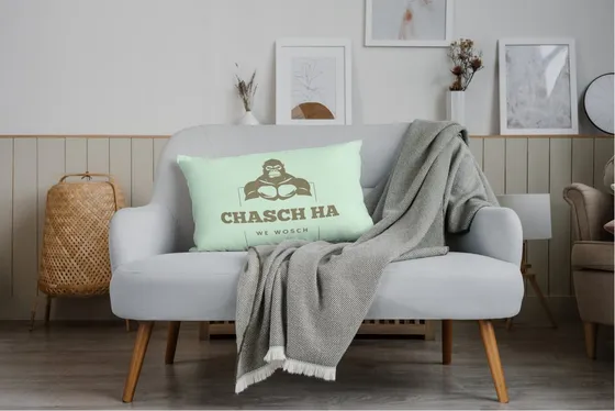 Kissen mit chasch ha Logo