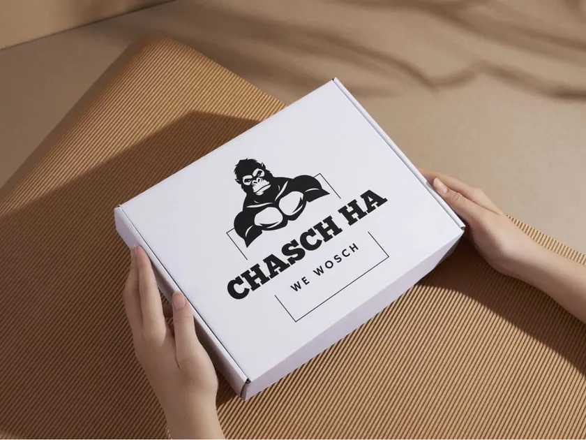 Versandkarton mit chasch ha Logo
